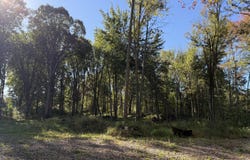 479 Grass Lake Road, Coldwater, MI 49036