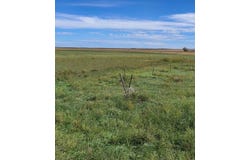 1425 CR 61, Potter, NE 69156