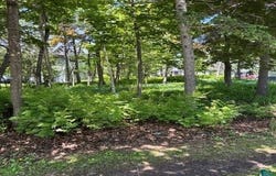 Duluth, MN 55804