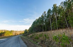 Sipsey Overlook Road lot: 130, Double Springs, AL 35553