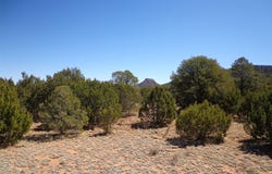 Tract 2B Camino del Sol, NM 87569