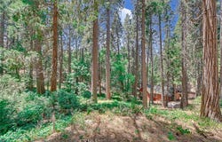 590 Electra Drive, Crestline, CA 92325