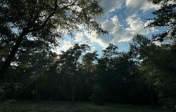 2.24 Acres JV Woolley Rd, Crestview, FL 32539