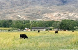 50 Bowman Lane, Salmon, ID 83467