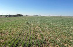 21480 E 1210 Rd, Dill City, OK 73641