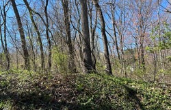 Cherry Lane lot: 0, Ivanhoe, VA 24350