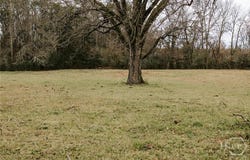 Sandy Cross Road, Lexington, GA 30648