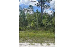 Parrot Road, Weeki Wachee, FL 34614