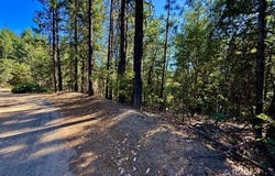 1200 Pine Forest Dr, Hayfork, CA 96041
