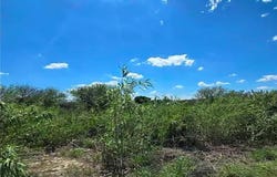 6339 & 6361 Vega Verde Rd, Del Rio, TX 78840