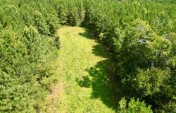 CR 127, Banks, AL 36005