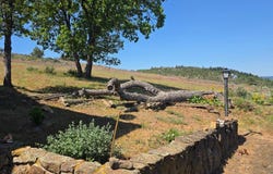 78902 WALTERS Rd, Maupin, OR 97037