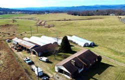 8621 Austin Traphill Road, Traphill, NC 28685