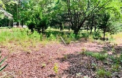 3599 Skipwith Rd, Boydton, VA 23917
