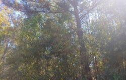 W Itawamba Street lot: 588, Bay Saint Louis, MS 39520