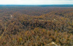 15682 Winding Trail, Birch Tree, MO 65438