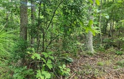 id06 Wild Acres Rd, HOLLADAY, TN 38341