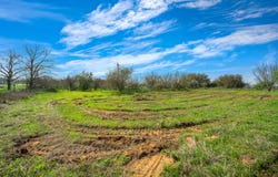 116 Tecolote Ln, Floresville, TX 78114