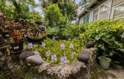 74 MAIKAI ST, Hilo, HI 96720