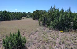 147 Concho Drive, Concho, AZ 85924
