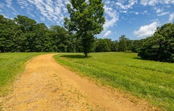 Cindy Drive, Murray, KY 42071