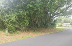 Fern Palm Drive, Edgewater, FL 32141
