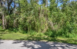 4808 RAMBLING RIVER Road, BRANDON, FL 33511