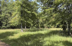230 B AND K Way, Adamsville, TN 38310