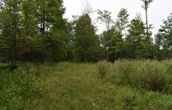 Sunback Road, Spartansburg, PA 16434