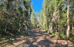 NE 175TH Avenue, WILLISTON, FL 32696