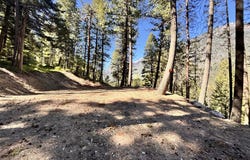 ARAPAHOE Rd, WallowaLake, OR 97846