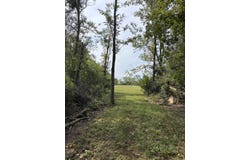 0 Hogg Ridge Road, Williamstown, KY 41097
