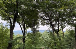 142 Fawn Lane, Purlear, NC 28665