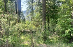 00NKA Lakeview Dr., Harrison, ID 83833