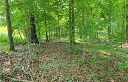 Fox Fire Road, Central, SC 29630