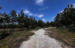 62 BR Johnson Road, Broken Bow, OK 74728