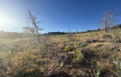 Curry Street, Sprague River, OR 97639