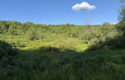 3012 Red Kill Road, Fleischmanns, NY 12430