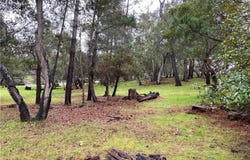 Kenneth, Cambria, CA 93428