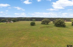 7488 CR 4712, LaRue, TX 75770