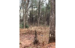 6661 Highway 42, Rex, GA 30273