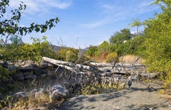 15698 Highland Circle, Redding, CA 96001