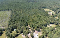 TRAMM ROAD, Bastrop, LA 71220