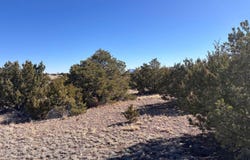 Lot 174 Pinon Springs, Magdalena, NM 87825