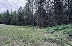 58 Bugling Elk Lane, Weippe, ID 83553