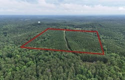 Skyview Lake, Cottondale, AL 35453