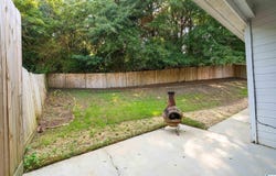 3009 ASHLEY CIRCLE, HELENA, AL 35080