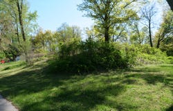 Plymouth Rock Avenue, Holland, MI 49424
