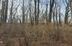 MAYO Road, MAYO, MD 21106