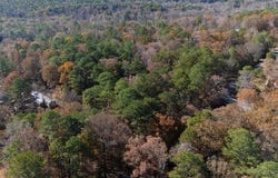 Jerry Drive, McCalla, AL 35111